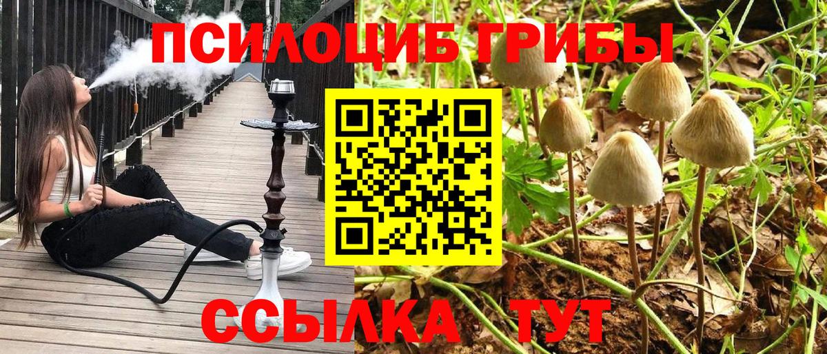 Галлюциногенные грибы мухоморы  Псилоцибиновые грибы мухоморы  Таганрог  Вход с VPN 